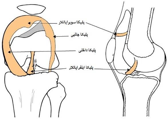 پلیکا چیست و چه‌کار می‌کند